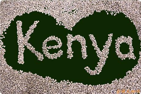 肯尼亚精品咖啡豆