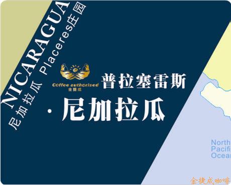 尼加拉瓜精品咖啡